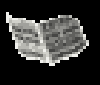 newspapersm_w.gif