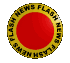 newsflash2_b.gif