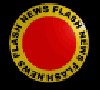 newsflash2_b.gif