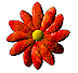 flower[1].gif