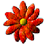 flower[1].gif