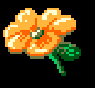 bflower.gif