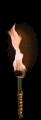 torch2.gif