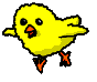 chick.gif