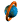 ringtiny_W.gif