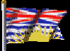 flag4.gif
