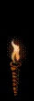 torch[1].gif