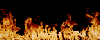 fire2[1].gif