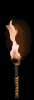 torchani[1].gif