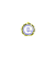 spininsm_w.gif