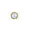 spininmed_w.gif