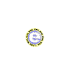 spininbig_w.gif