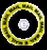 zoominsm_w.gif