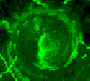 swirl.gif
