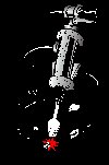 jack1[1].gif