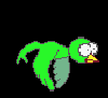 bird[1].gif
