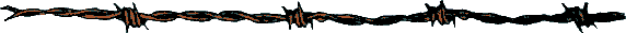 rulewire[1].gif