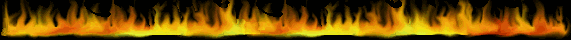 fireline[1].gif