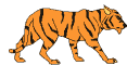 tigerwalks.gif