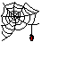 spiderweb.gif