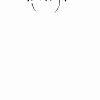spider.gif