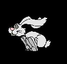 rabbit.gif