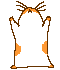 guinypig.gif