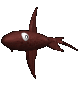 fish3d.gif