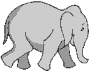 elephants.gif