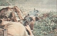 VNR724.GIF
