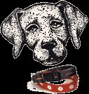 dog22.gif