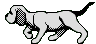 dog.gif