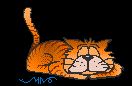 catsleeps.gif