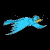 bird.gif