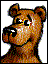 bear5.gif