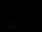 ant2[1].gif