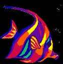 angelfish.gif