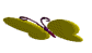 3d butterfly.gif