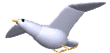 3d bird.gif