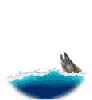 wfjump.gif