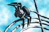 web2.gif
