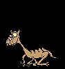 springcat2.gif
