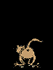 springcat.gif