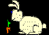 rabbit3.gif