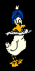 duckfish[1].gif