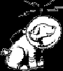dog9.gif