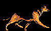 dog21.gif