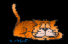 catsleeps.gif