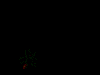 ant2[1].gif