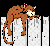 anicat3[1].gif